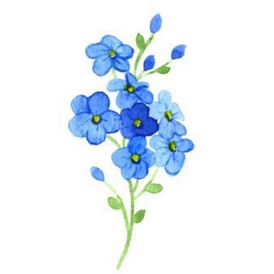 Букет незабудок