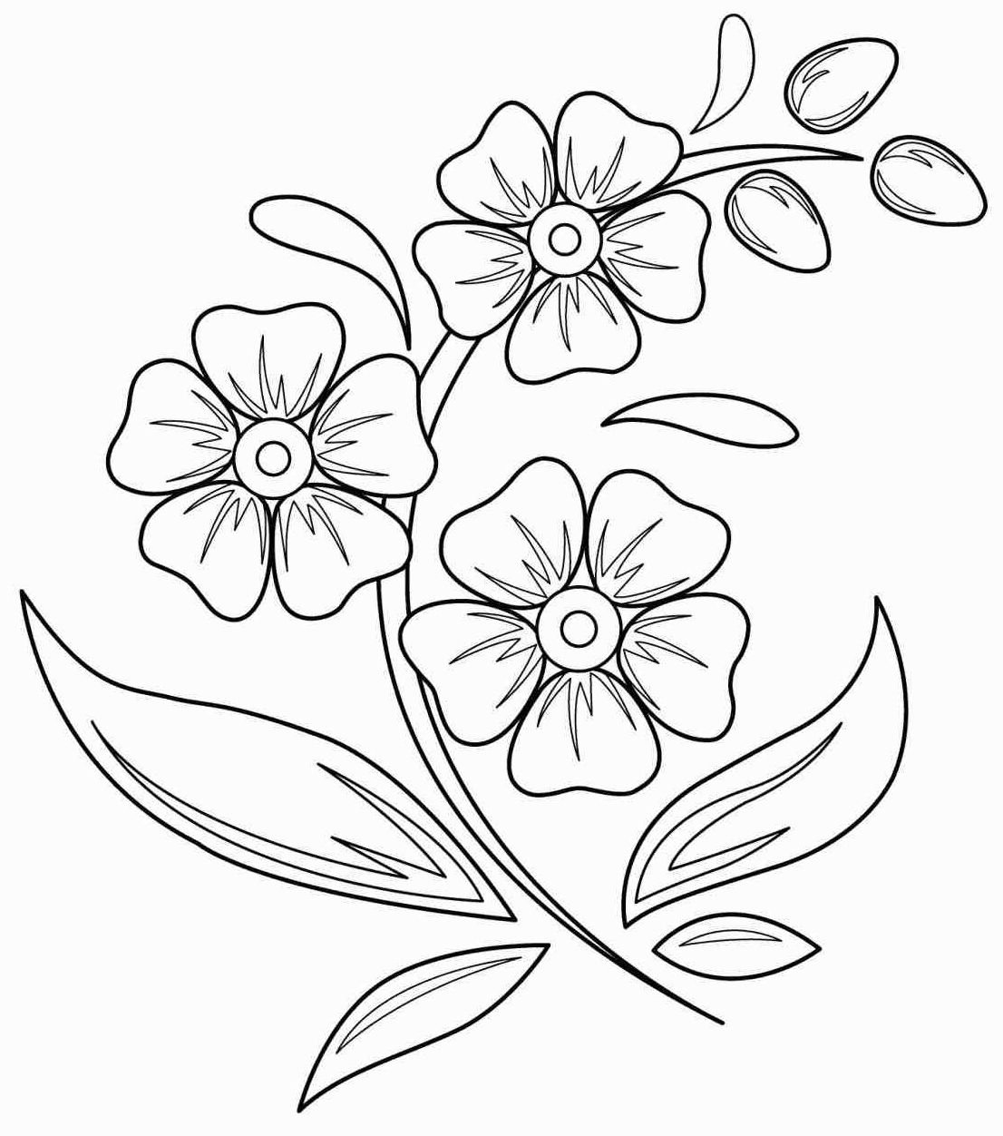 Цветы для рисования