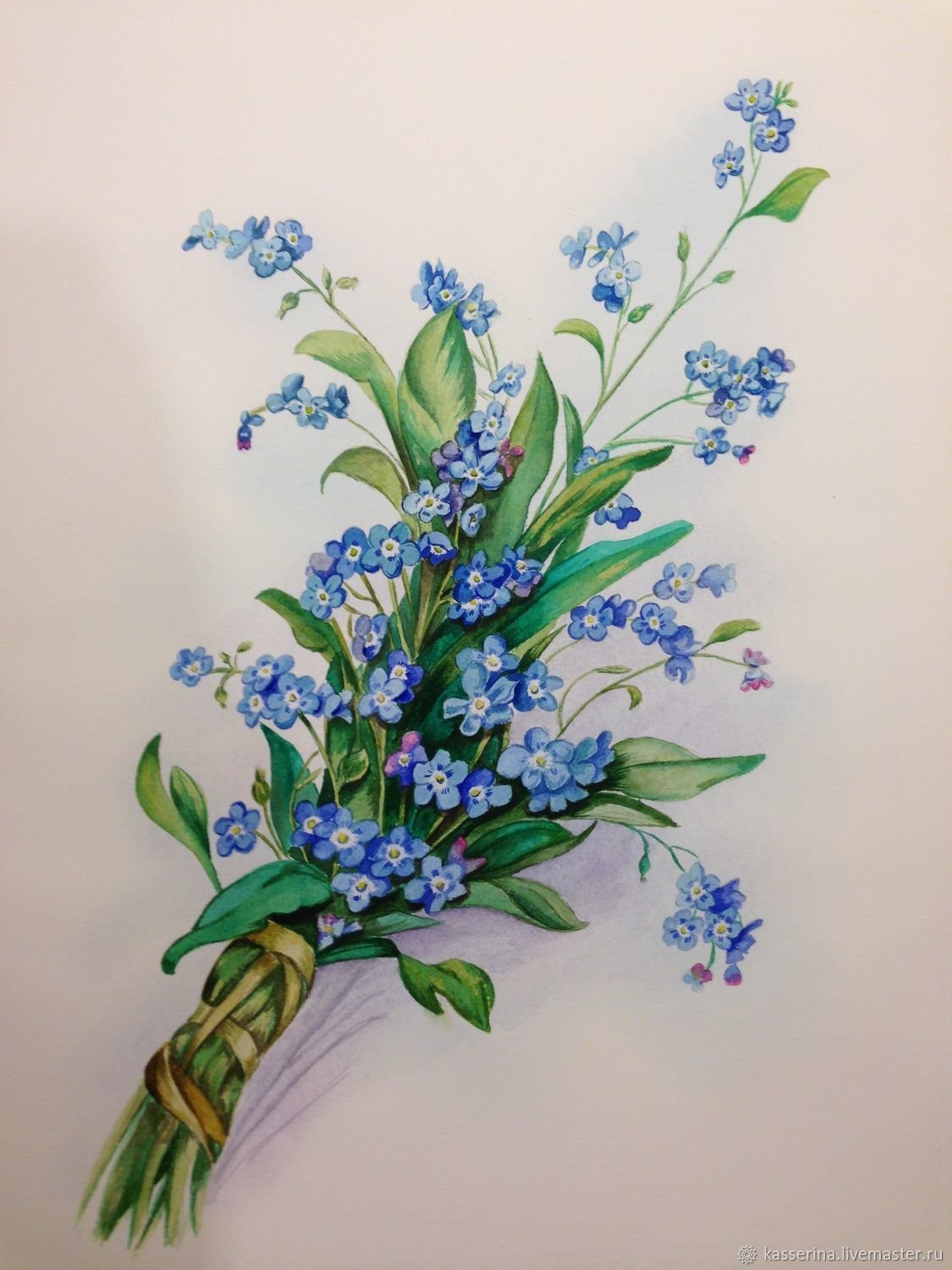 Ботаническая живопись Незабудка