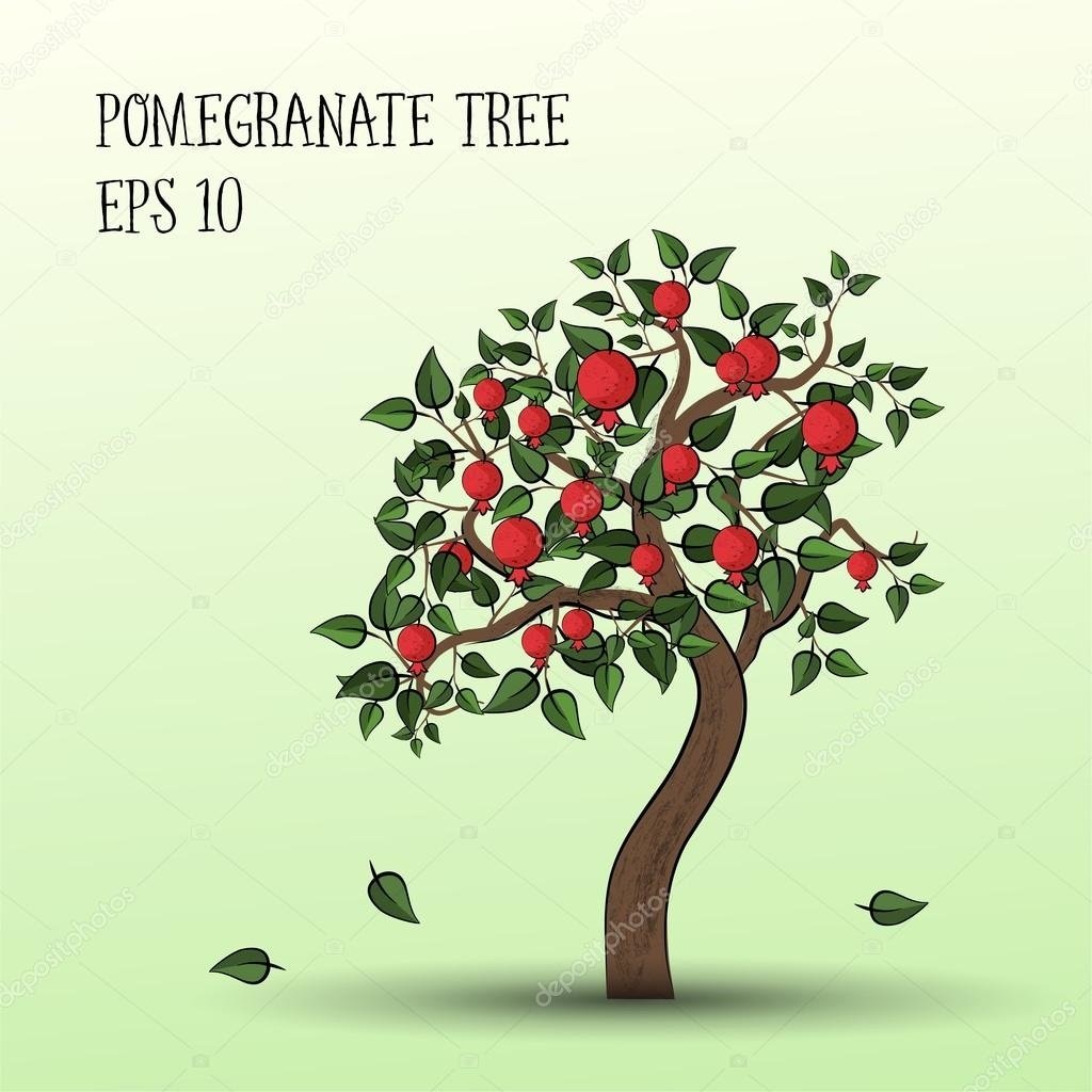 Гранатовое дерево вектор