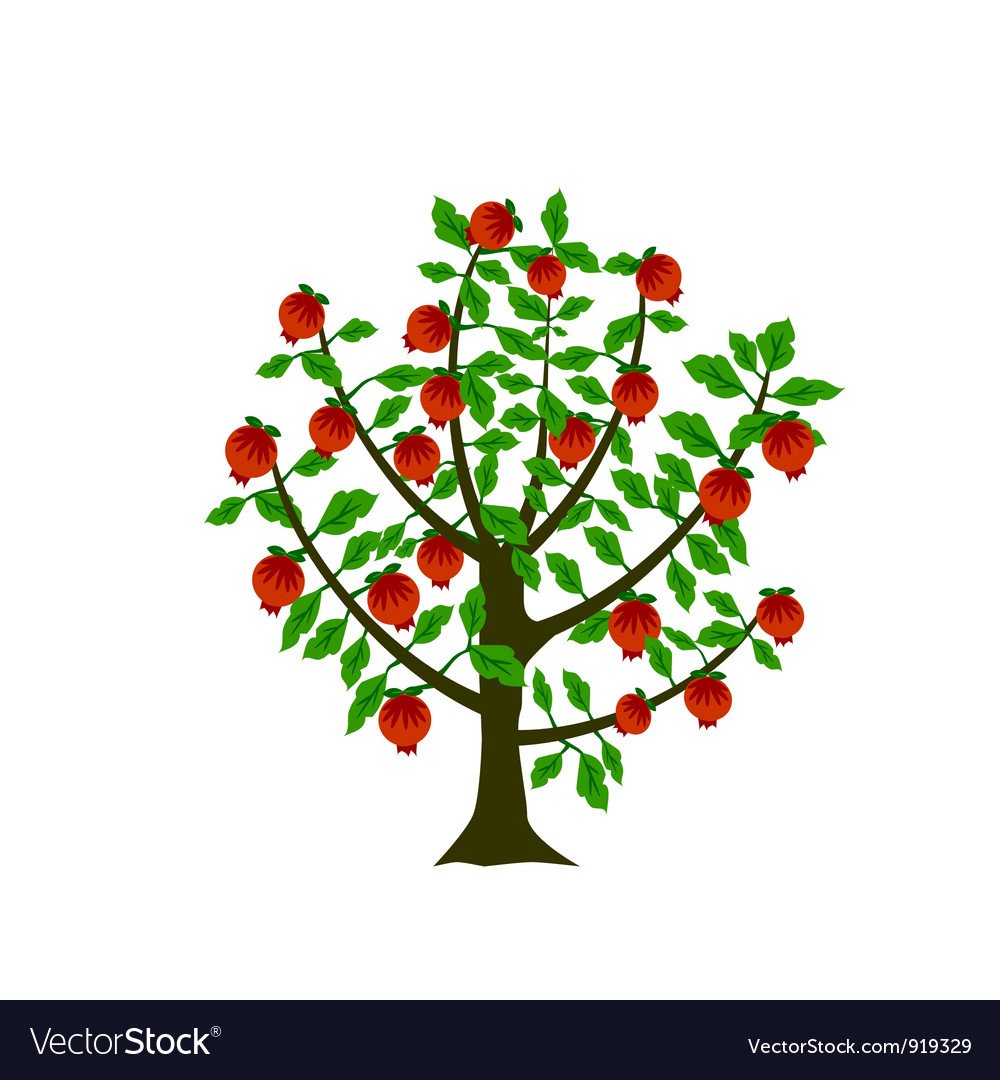 Цветущие гранаты Испании