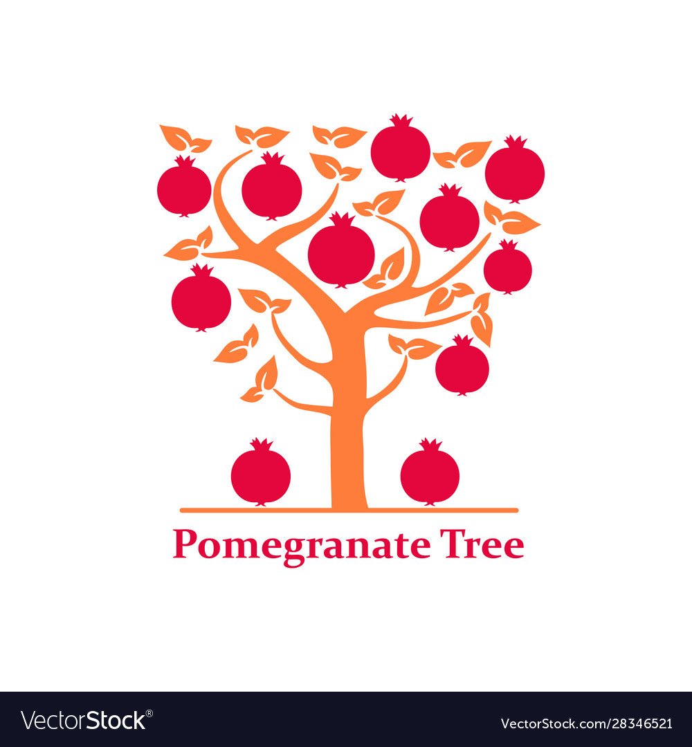 Гранат сокотранский