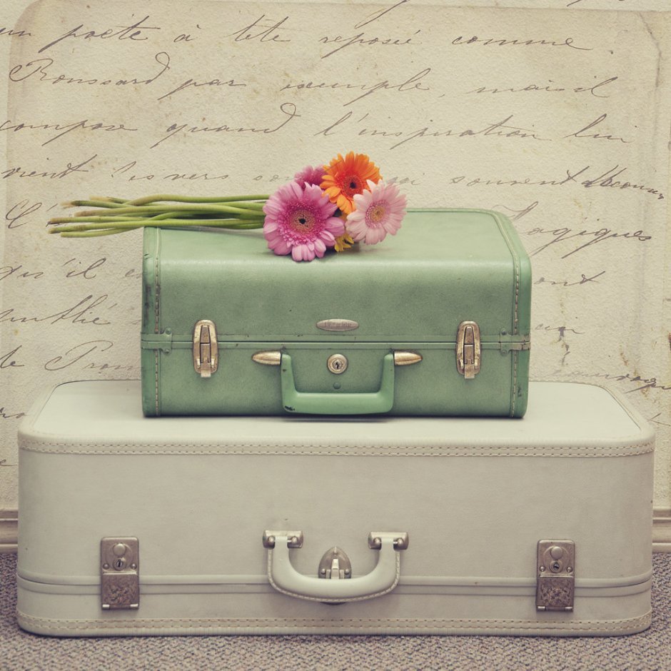 Кожаный чемодан far Cry 6