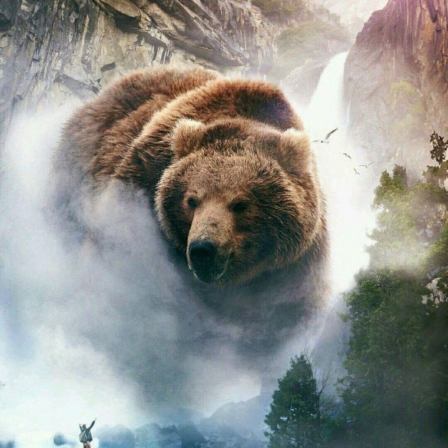 Славянский медведь