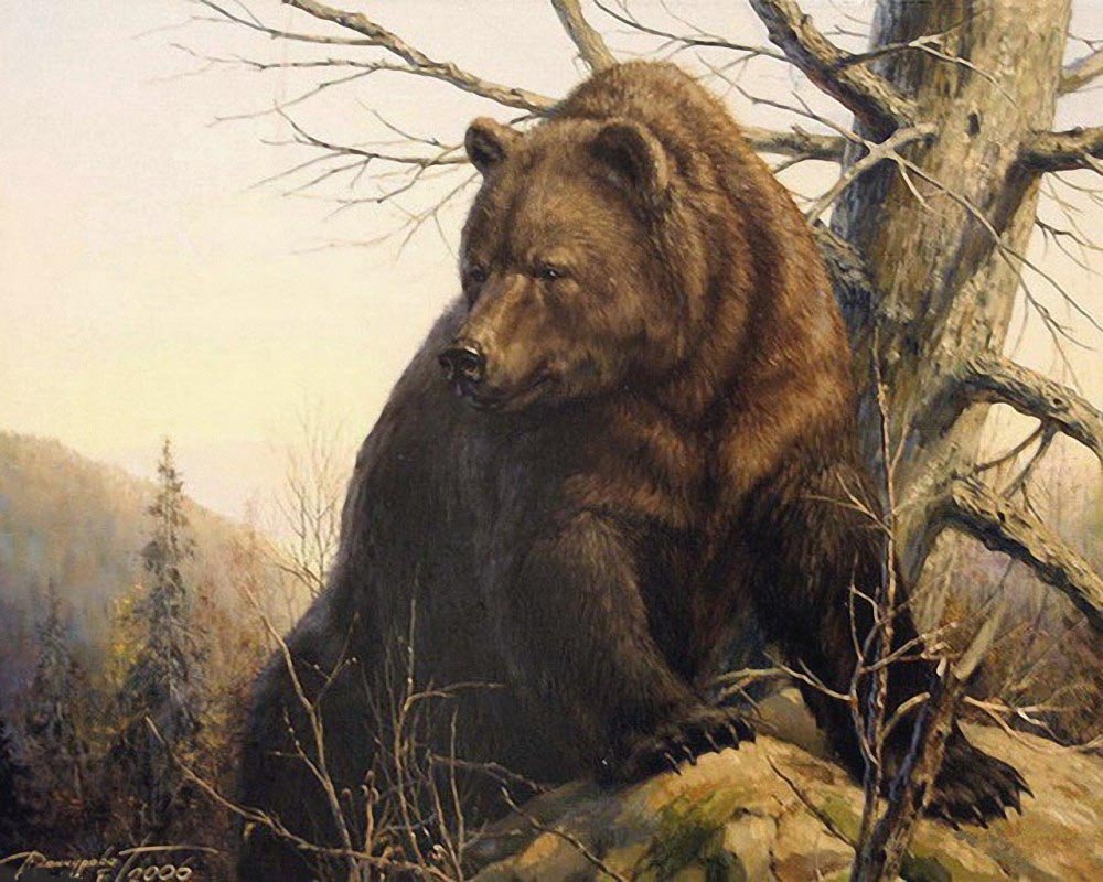 Татьяна Данчурова хозяин тайги