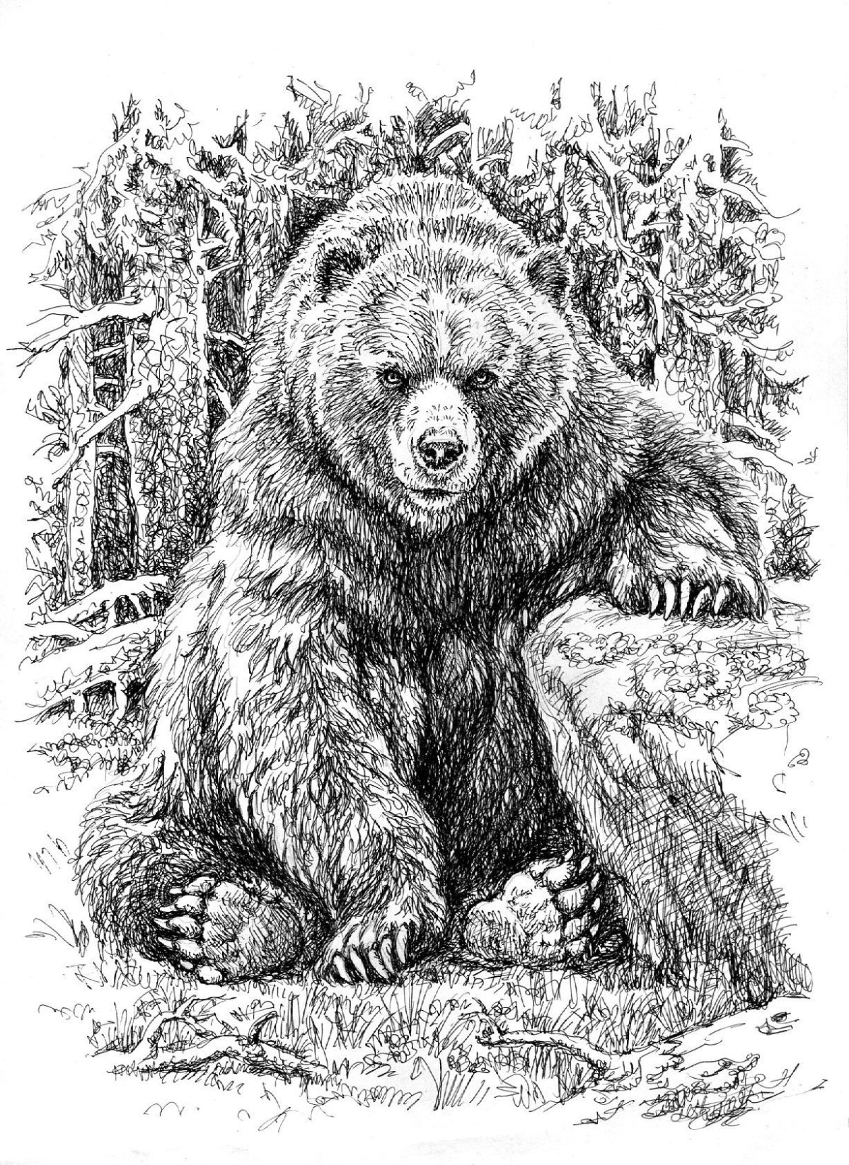 Маргарита Карева медведь Степан