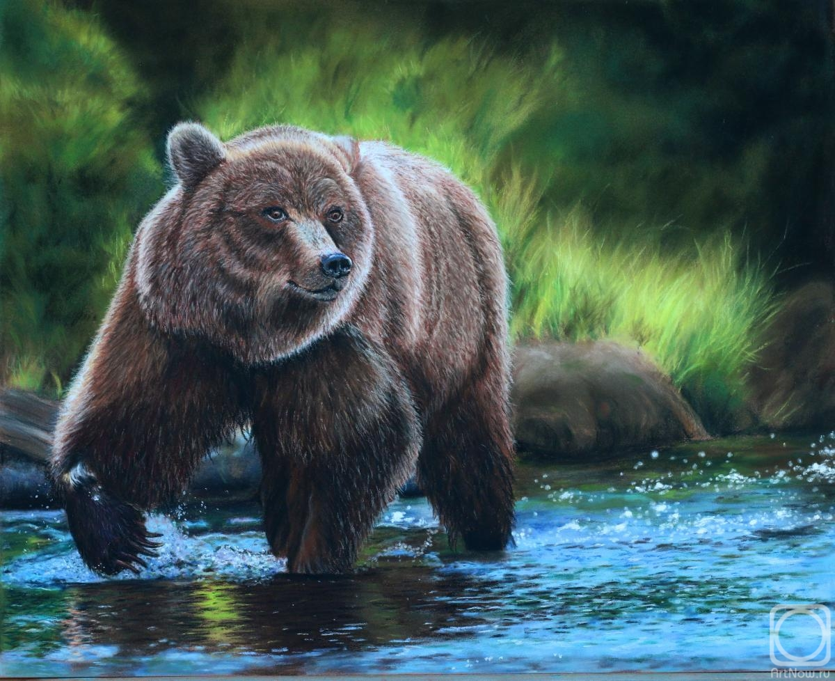 Медведь Тотем шаманки