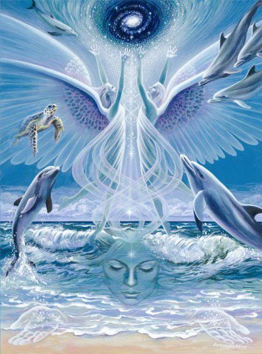 Дельфин картина