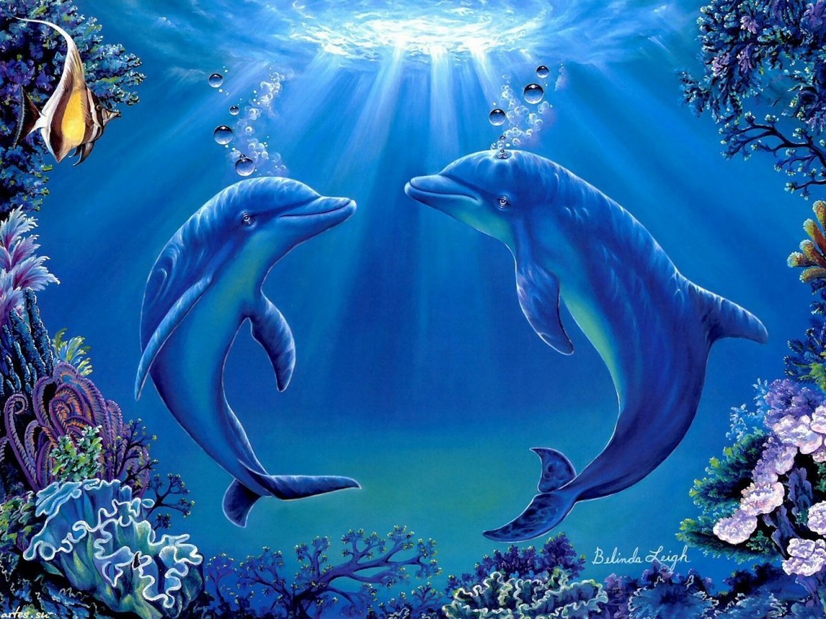 Ecco the Dolphin Астерит