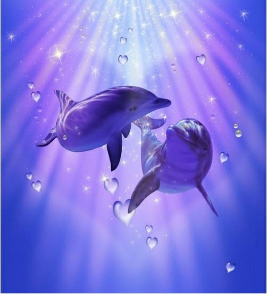 Дельфины эзотерика