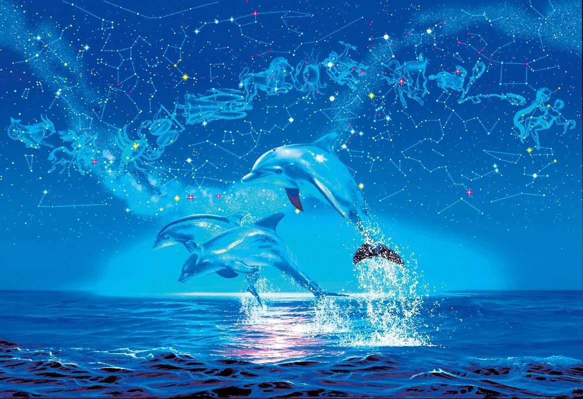 Дельфины арт