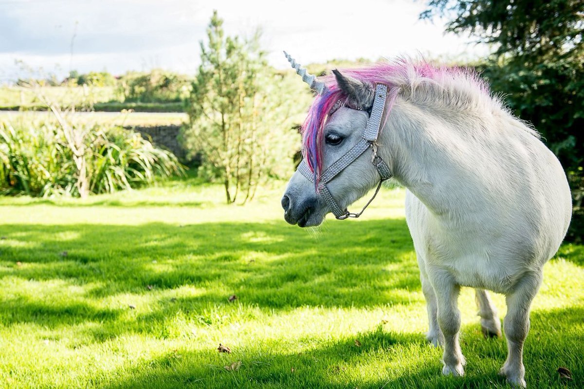 Лошадь «Единорог»