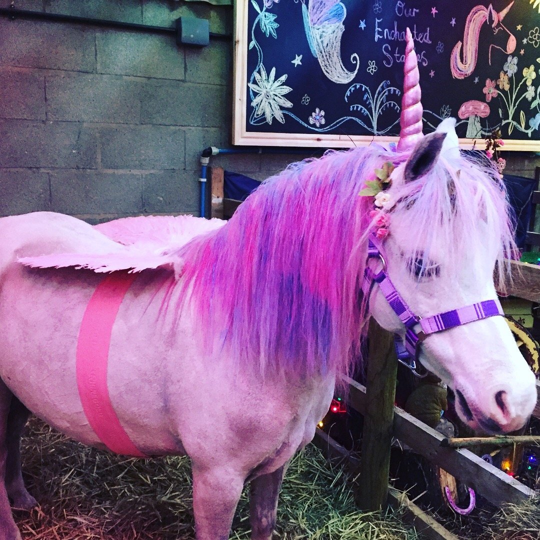 Единорог настоящий