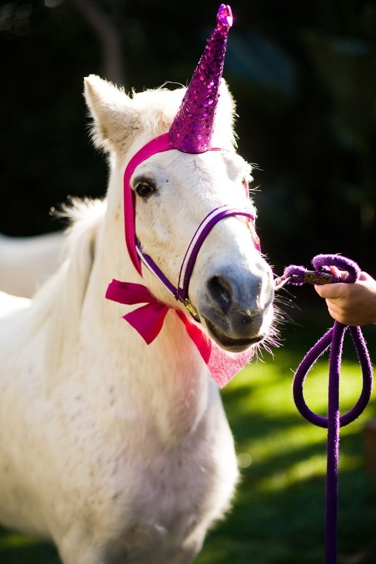 Лошадь с рогами