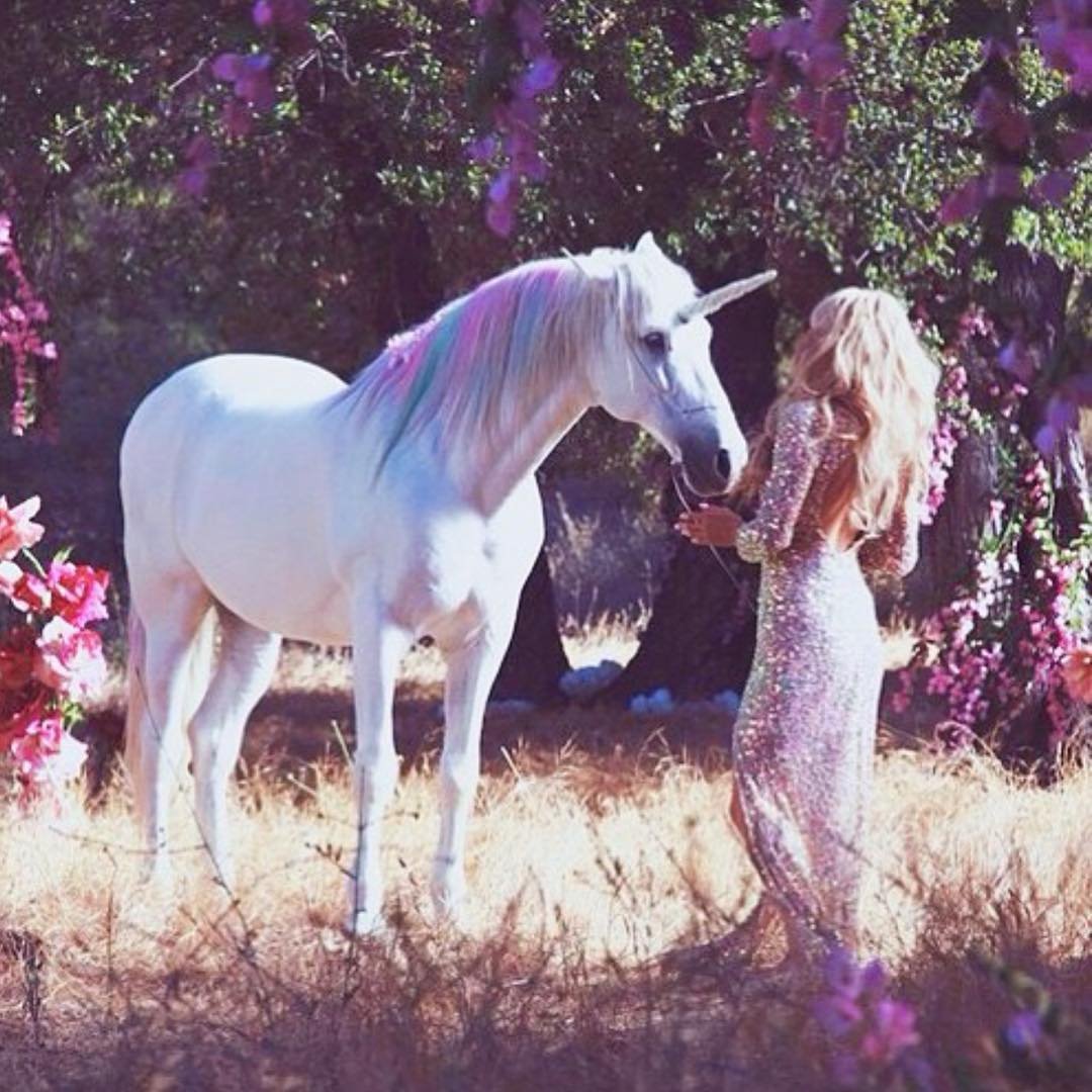 Единорог фото