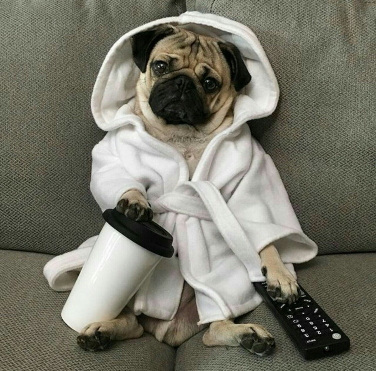 Смешной халат