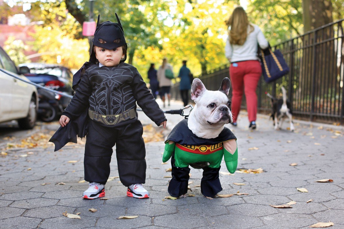 Собака одетая в костюм