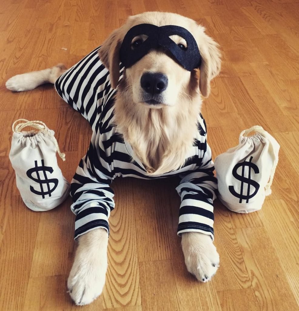 Happy Dog одежда для собак