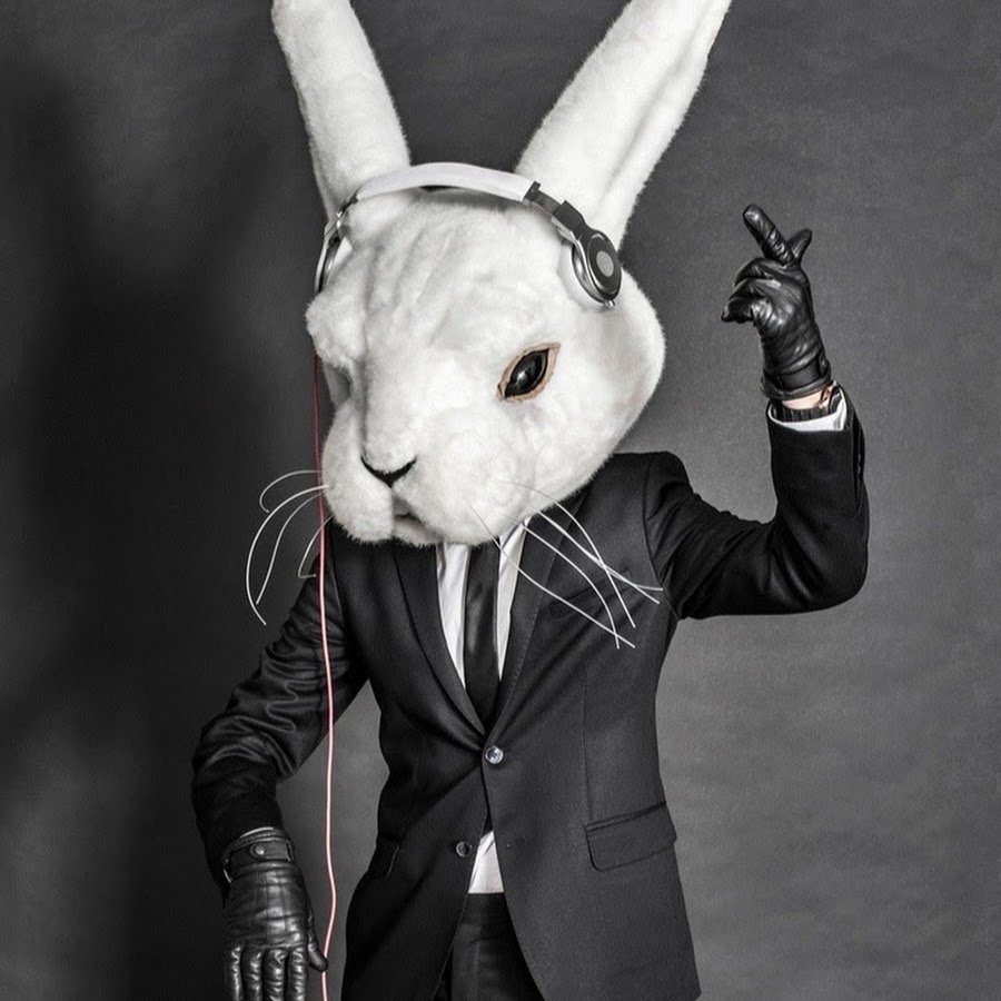 Крутой заяц