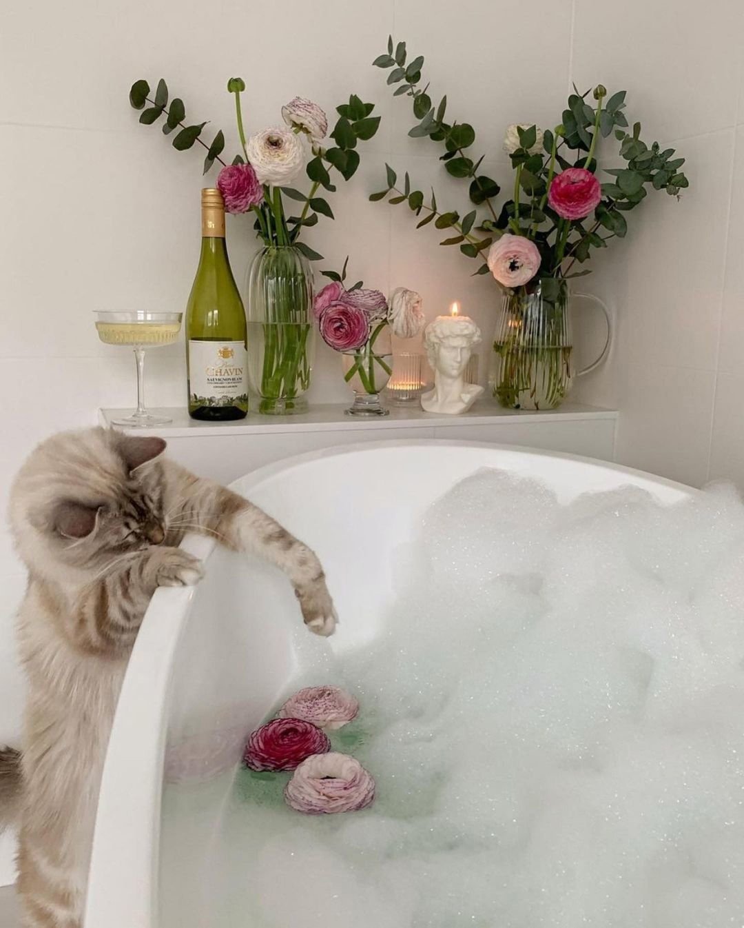 Кот романтик в ванной