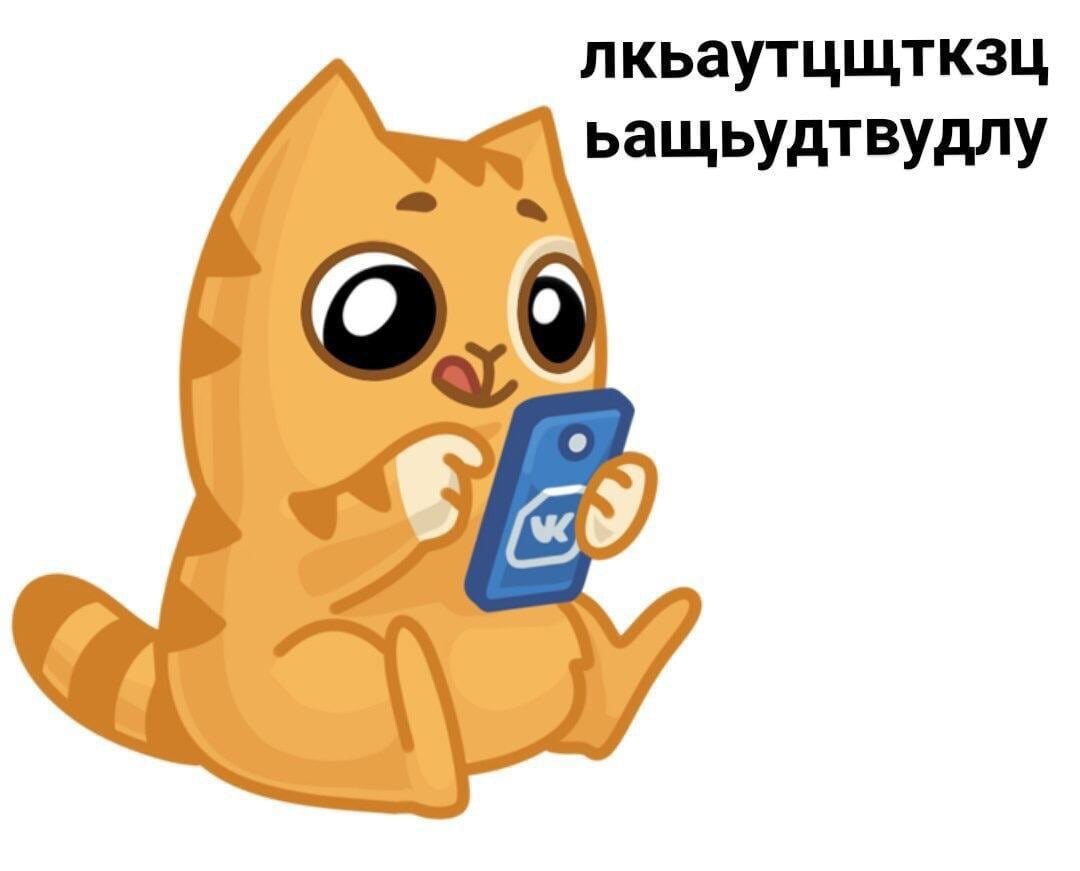 Кот Мем