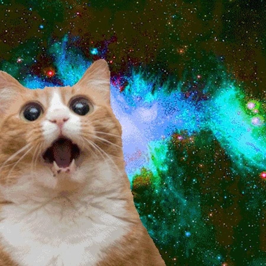 Смешные картинки