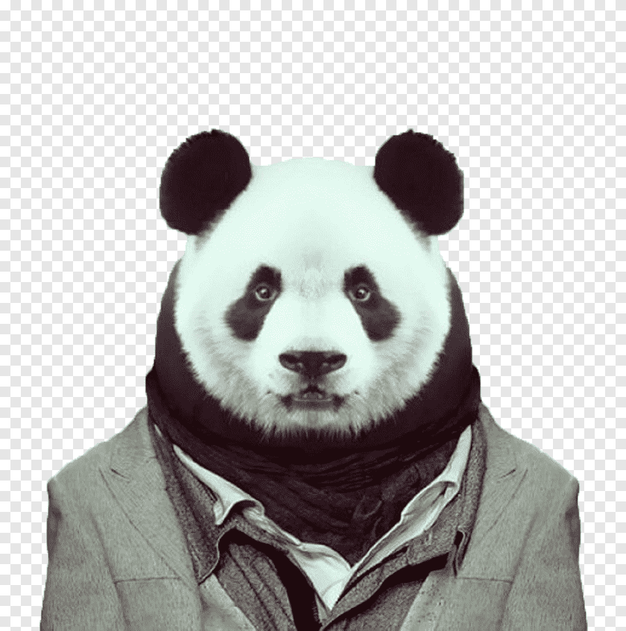 Зоопортреты Yago partal