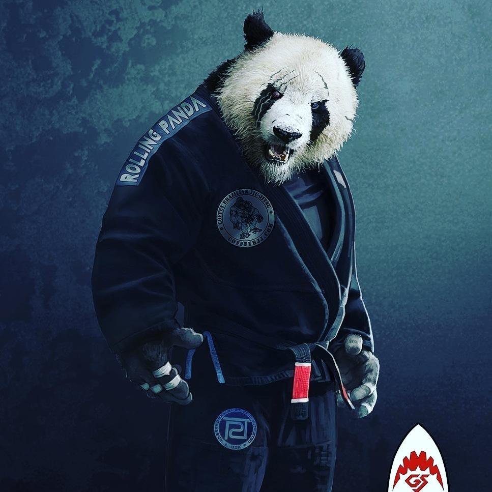 Джиу-джитсу ground Shark