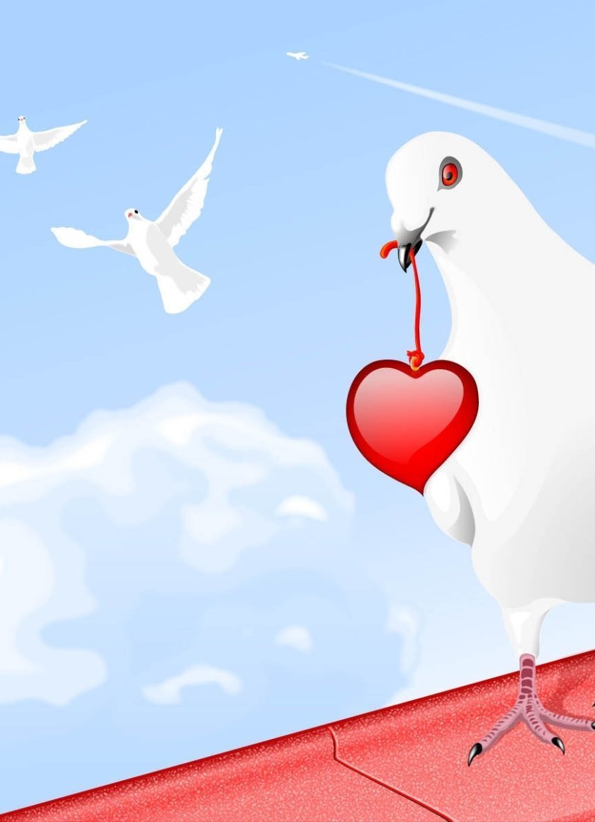 Голубь с сердечком