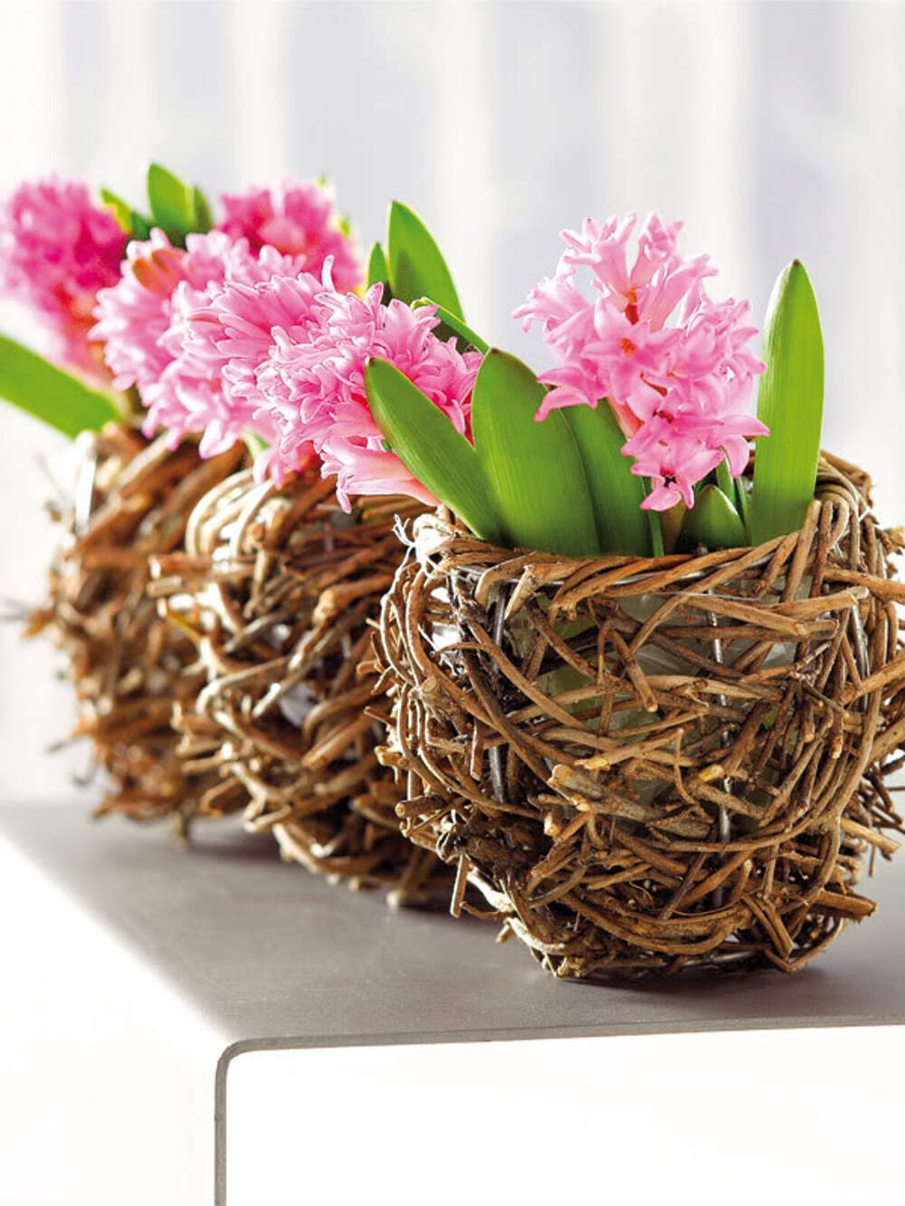 Гиацинты в интерьере