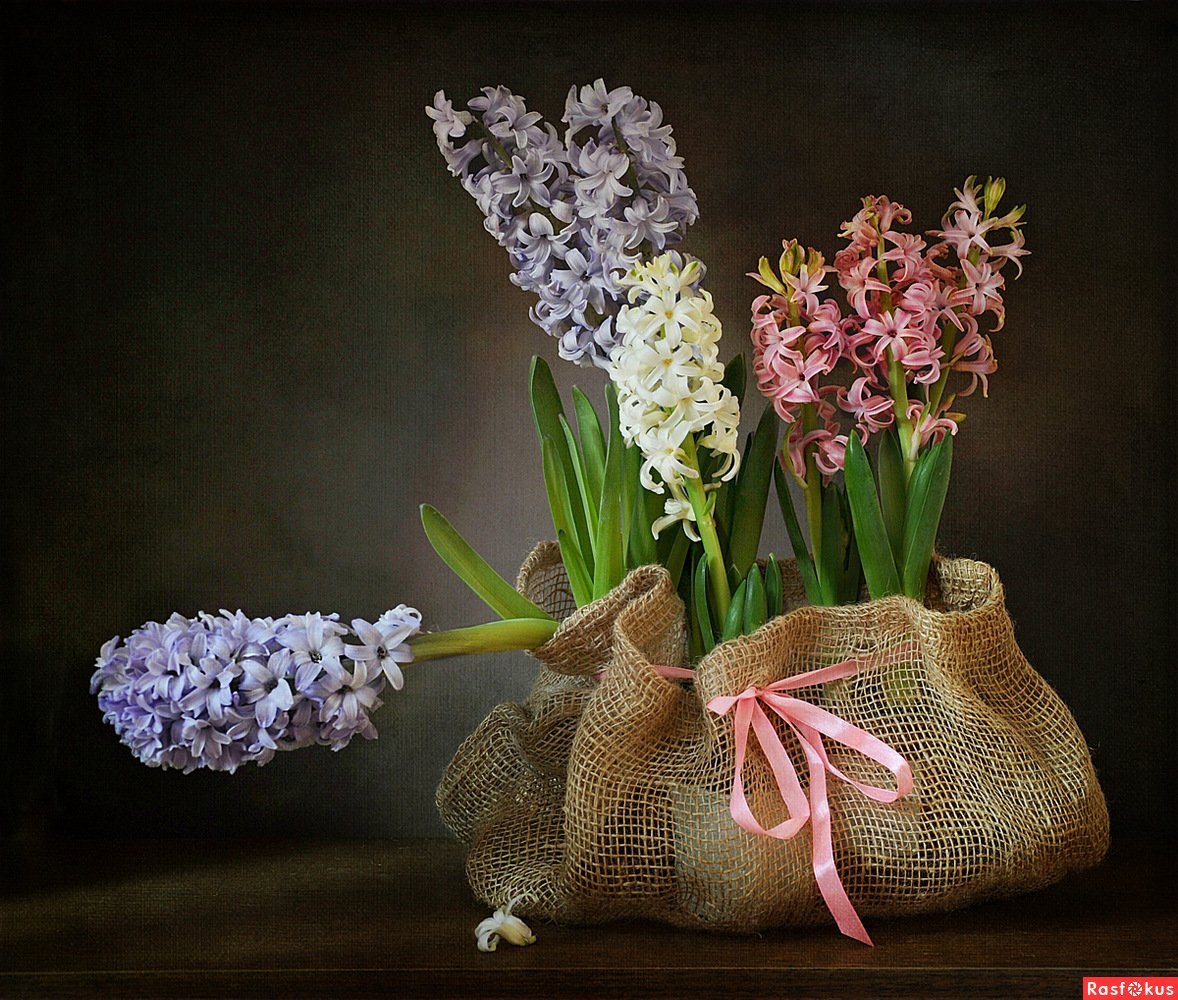 Весенний букет с гиацинтами