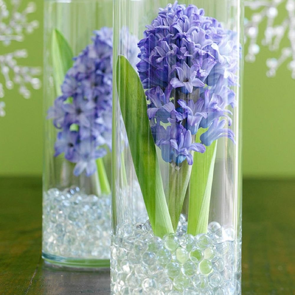 Гиацинты в аквагрунте