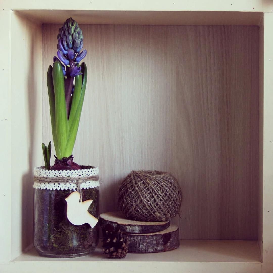 Гиацинты в интерьере оригинально