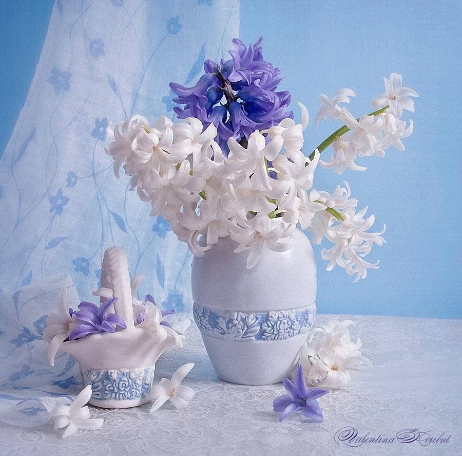 Натюрморт в бело голубых тонах