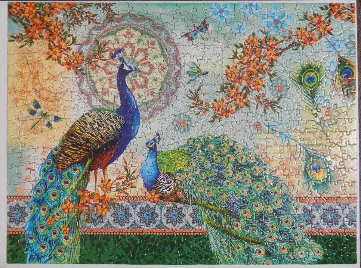 Веер павлиний хвост