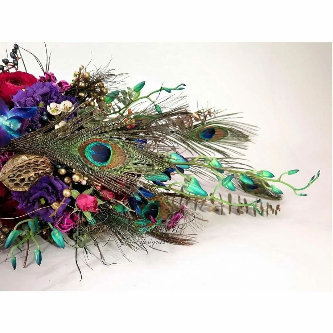 Павлин вечеринка