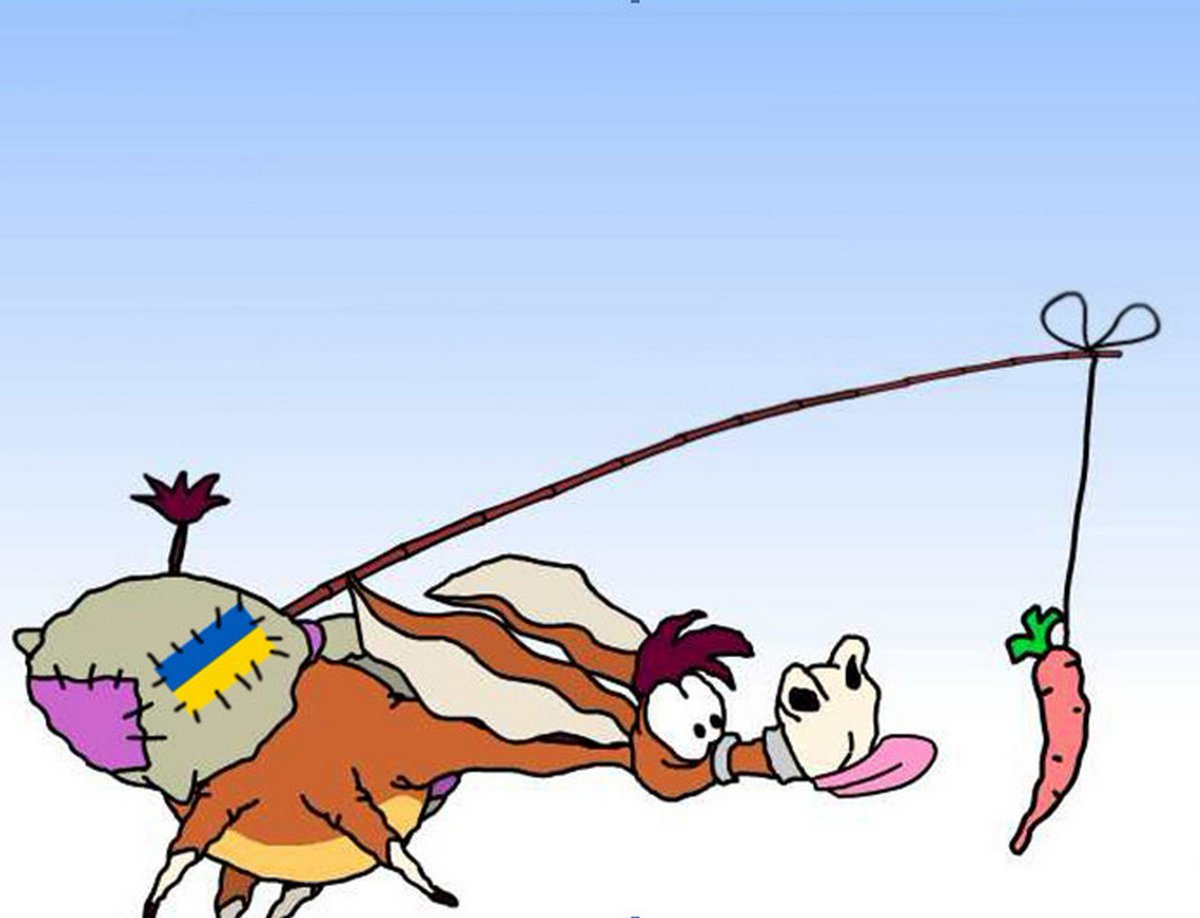 Ослик бежит за морковкой