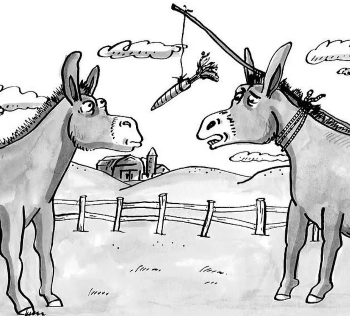 Морковка ослик бизнес