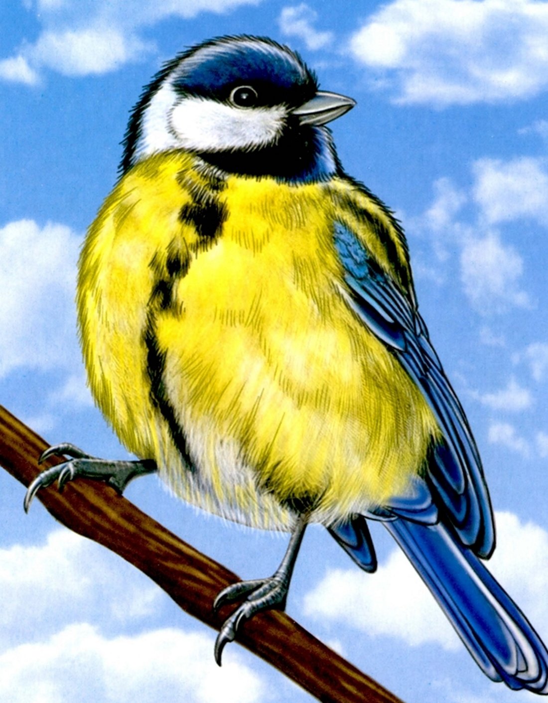 Синичка для детей