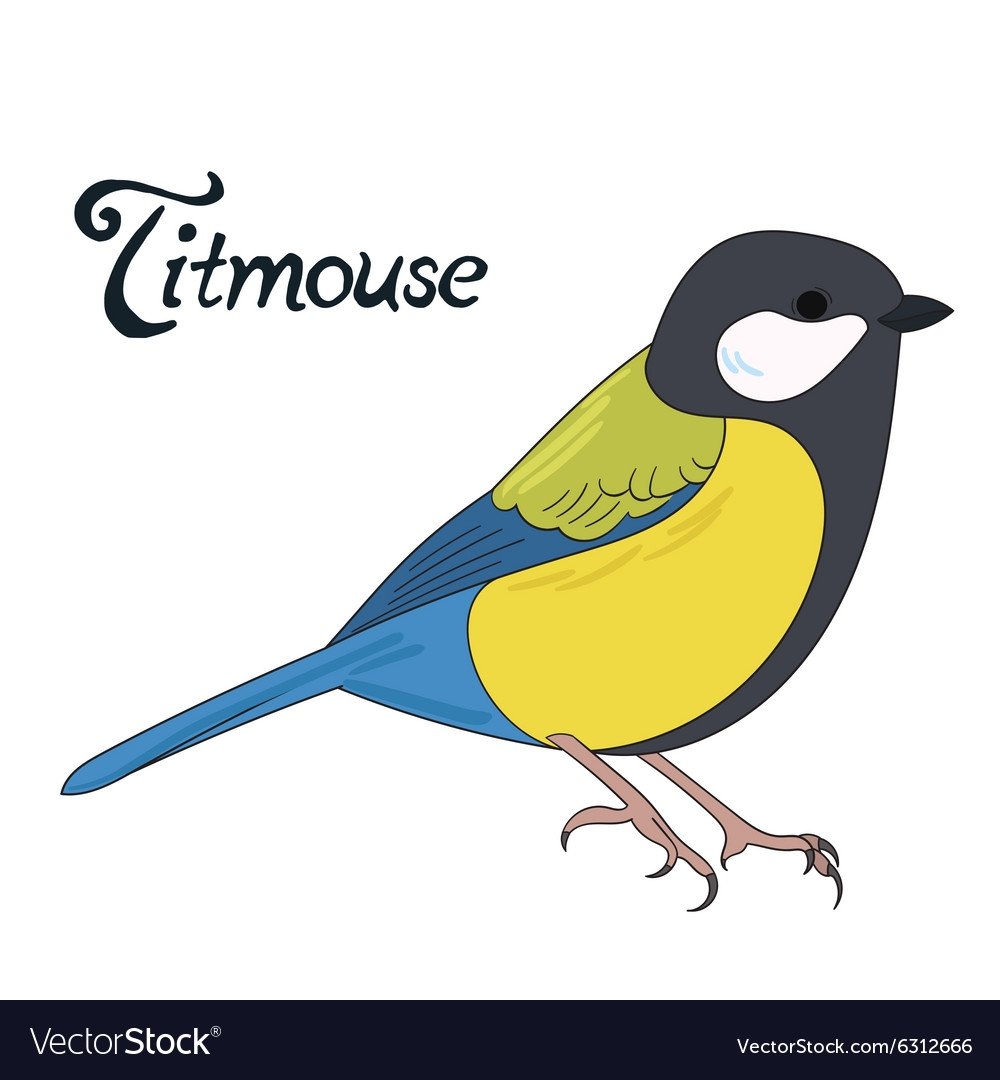 Мультяшная синица без фона