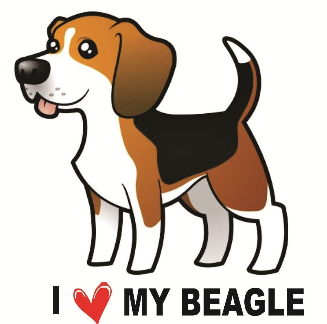 Порода собак Бигль рисунок