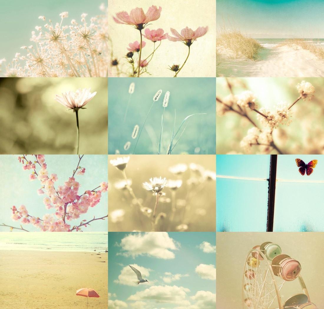 Цветы в пастельных тонах