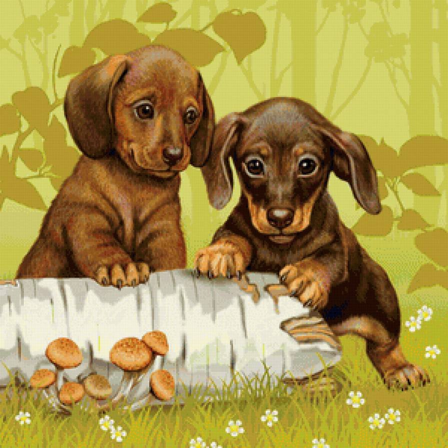 Рисование по номерам