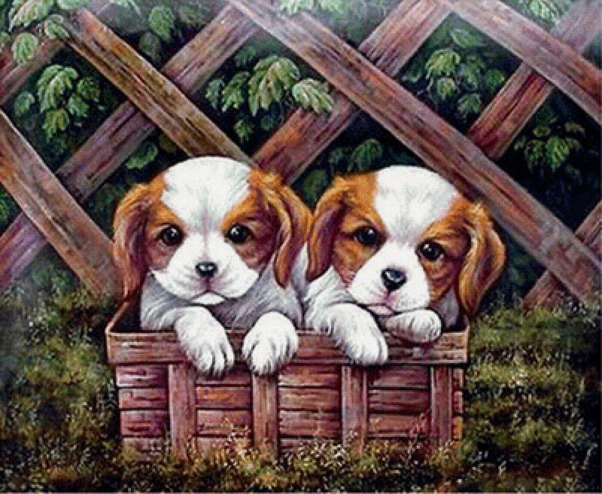 Два щенка рисунок