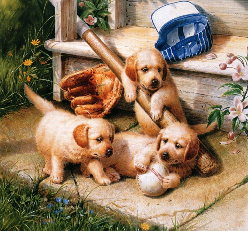 101 Далматинец