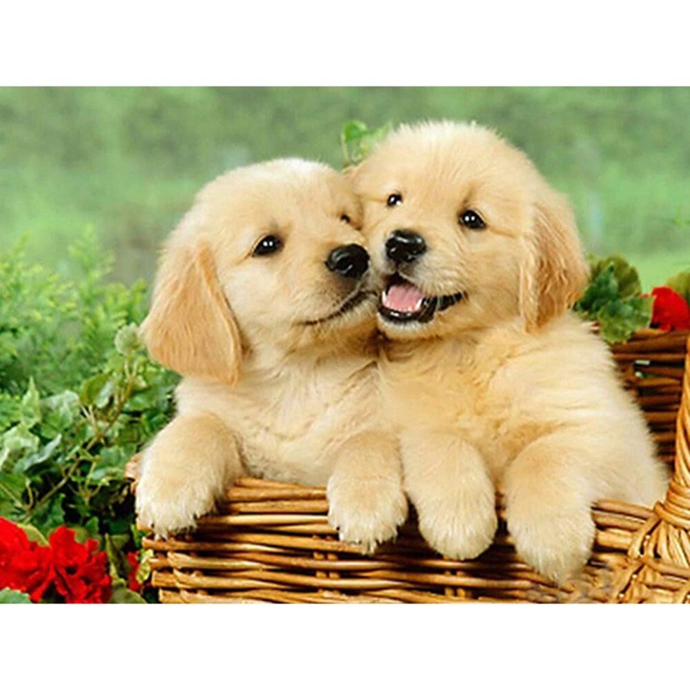 Сказочный щенок