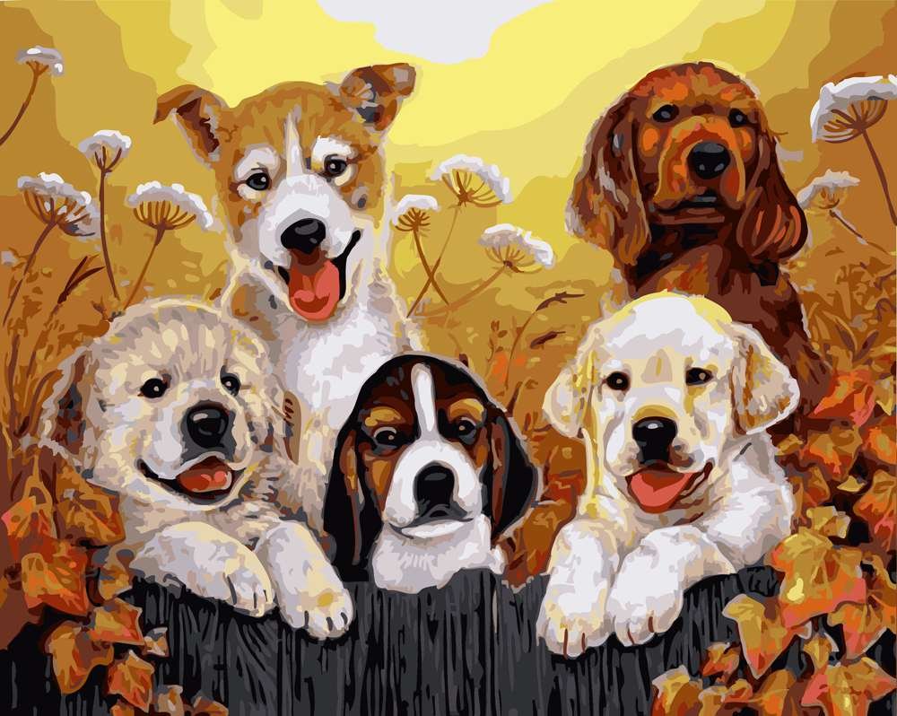 Стикеры лабрадоров милые