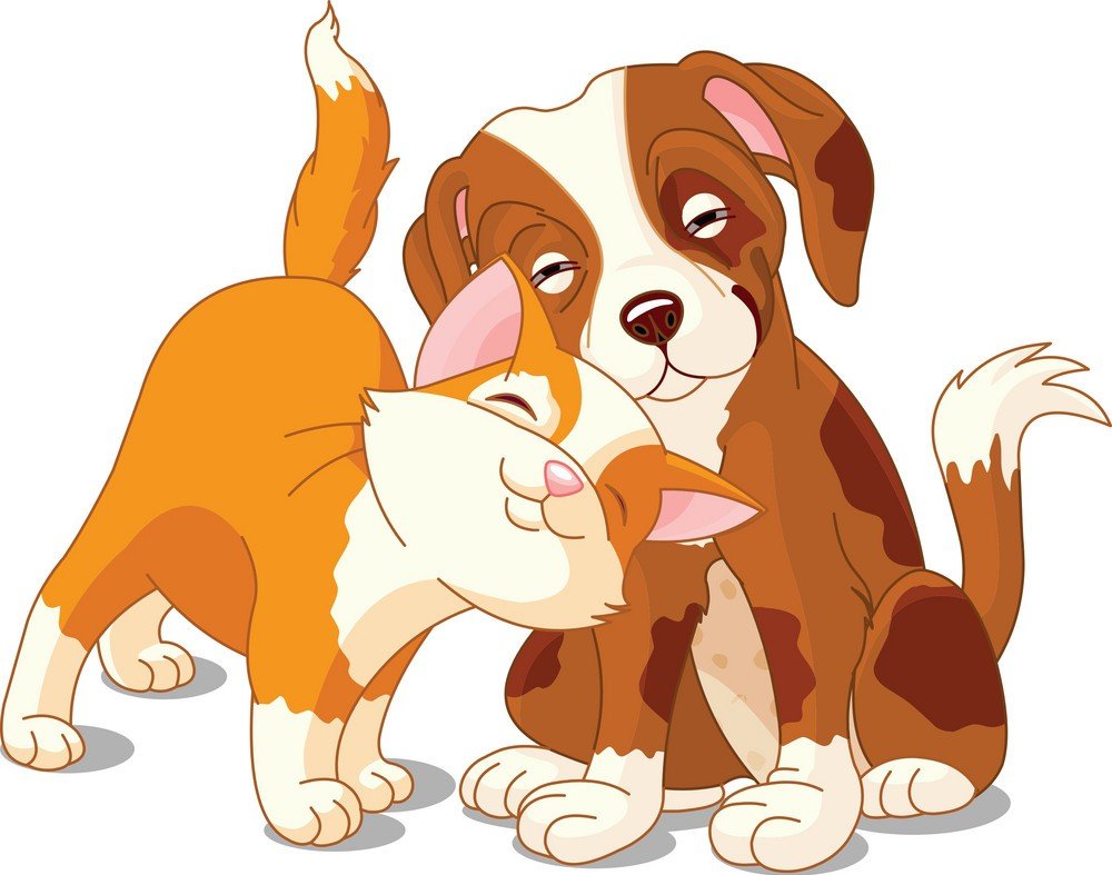 Наоми Лорд арт животные