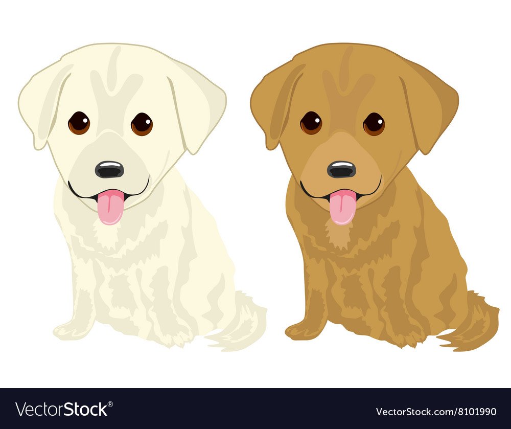 Щенки и собаки