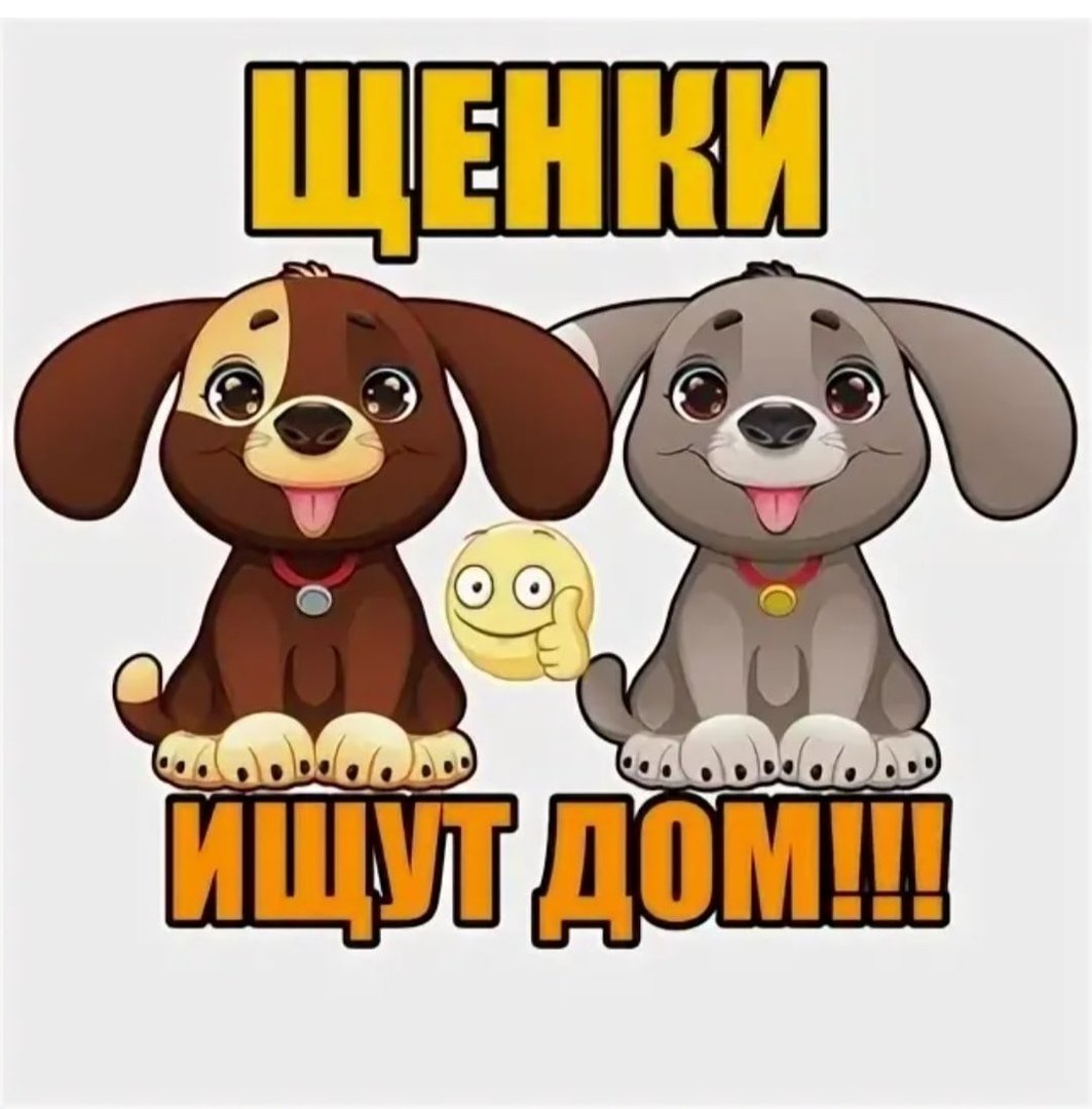 Золотистый ретривер и детт